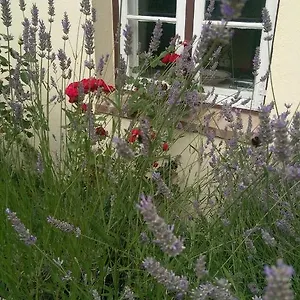 Im Einhornhaus Appartement